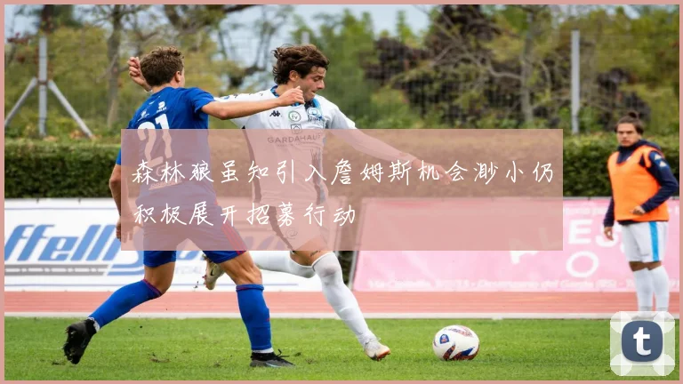 森林狼虽知引入詹姆斯机会渺小仍积极展开招募行动