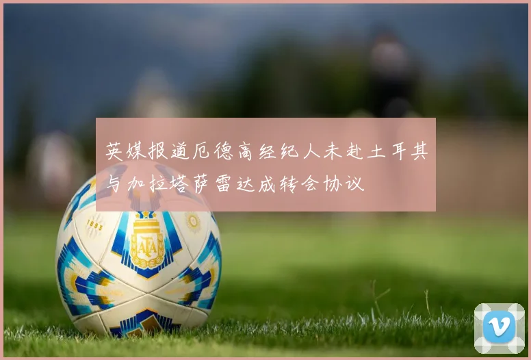 英媒报道厄德高经纪人未赴土耳其与加拉塔萨雷达成转会协议