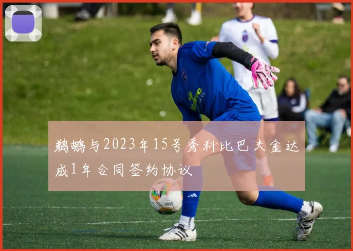 鹈鹕与2023年15号秀科比巴夫金达成1年合同签约协议