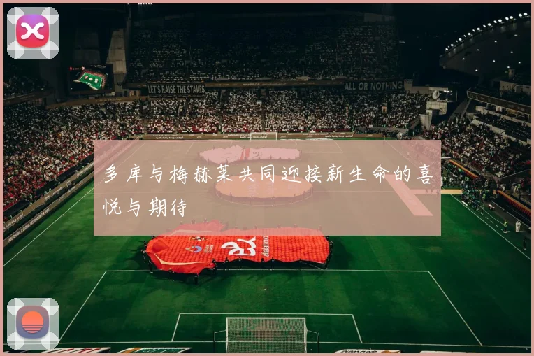 多库与梅赫莱共同迎接新生命的喜悦与期待